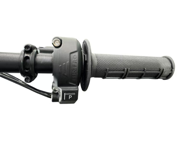 ERide pro mini