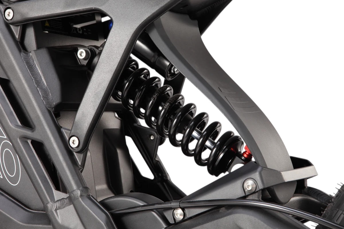 ERide Pro SE (L1e) – edirtstore
